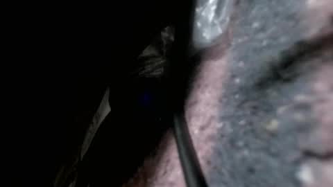 salah442765 online show from 05-10-26, 04:34