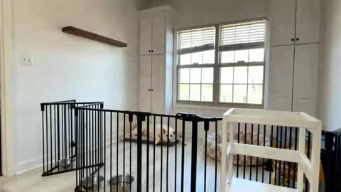 Snapshot of salgozzi chatting on 03-13-26, 02:23 Cum Hanks online show from 03-13-26, 02:23