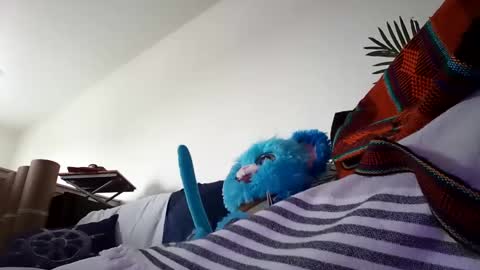 salis1981 online show from 01-25-25, 10:28