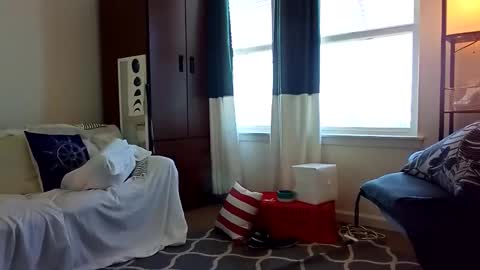 salis1981 online show from 02-05-25, 08:35