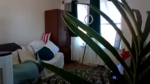 salis1981 online show from 03-03-25, 05:39