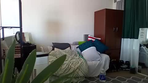 salis1981 online show from 03-11-25, 06:19