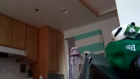 salis1981 online show from 09-18-25, 07:49