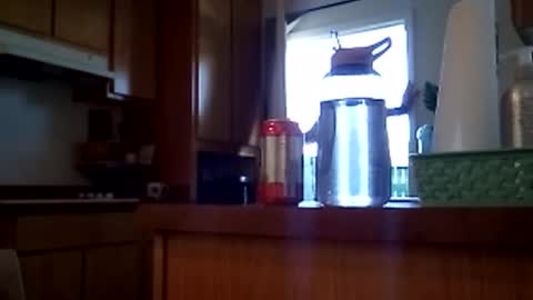 salis1981 online show from 02-12-26, 07:09