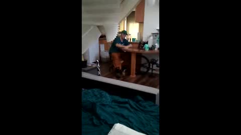 salis1981 online show from 03-17-26, 11:08