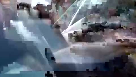 sam223382879 online show from 12-25-24, 03:28