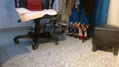 samanta online show from 02-03-26, 11:15