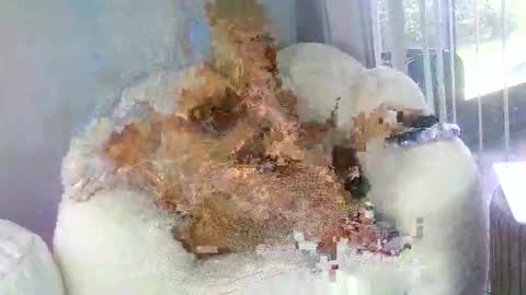 Snapshot of samathajamesxo chatting on 03-31-26, 07:03 Samatha James online show from 03-31-26, 07:03