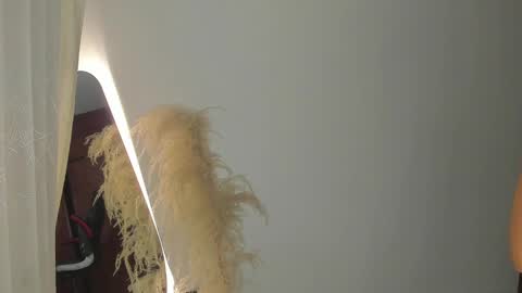 Hello I am absent due to a family calamity I will return soon-hola estoy ausente por un problema familiar volvere pronto. online show from 02-19-25, 11:25