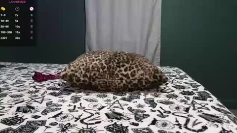 Sarah Babes online show from 06-29-26, 03:02