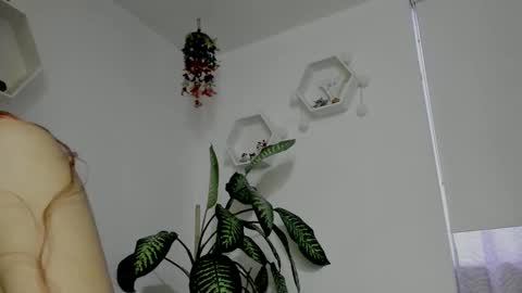 Snapshot of saray2312 chatting on 02-05-26, 11:20 Saray online show from 02-05-26, 11:20