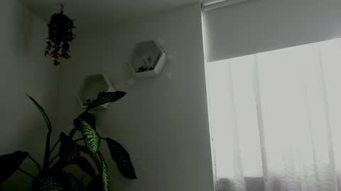 Snapshot of saray2312 chatting on 02-09-26, 09:41 Saray online show from 02-09-26, 09:41