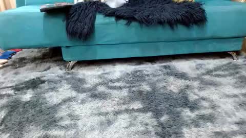 sarita_klein online show from 11-08-25, 03:34