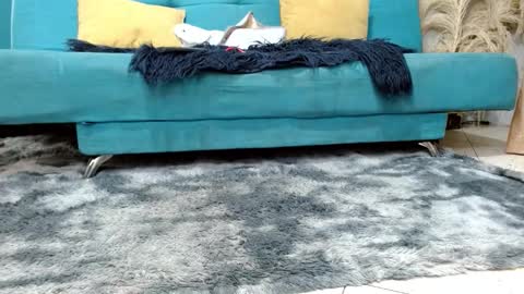 sarita_klein online show from 03-02-26, 02:24