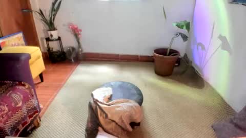 Ms. Oh   online show from 01-15-26, 06:33