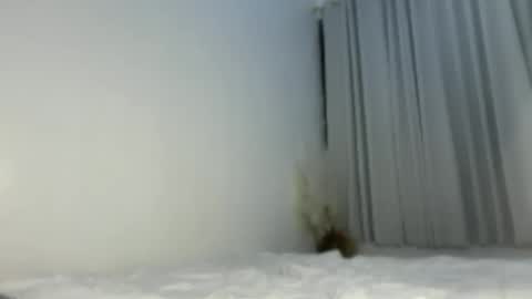 sassykayla online show from 05-15-26, 01:07