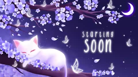 Sassy Sami Kittyn online show from 12-02-25, 06:08