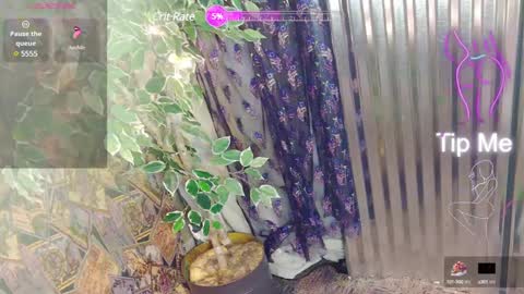 sassylatin45 online show from 01-12-25, 01:21