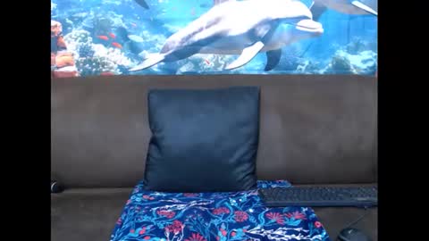 sasyylissaa online show from 03-03-25, 07:39