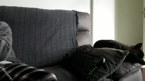 saulcontigo online show from 01-28-25, 10:23