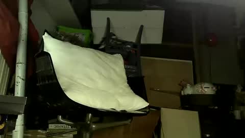 Sbamx online show from 12-17-24, 05:29