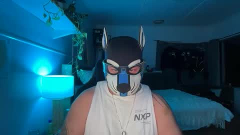 Sunny Coast online show from 02-22-26, 12:15