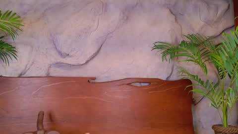 scarlettsinclaiir_ online show from 06-08-26, 04:02