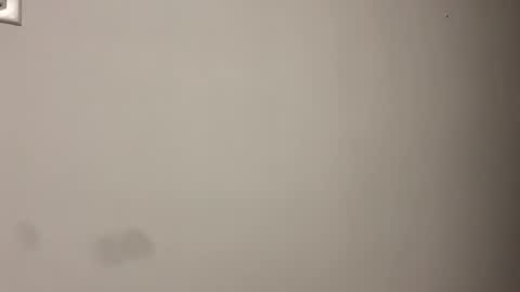 Scarlett online show from 02-22-26, 03:40