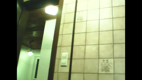 Snapshot of schnibschnab chatting on 11-30-25, 08:46 schnibschnab online show from 11-30-25, 08:46