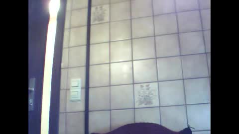 Snapshot of schnibschnab chatting on 12-18-25, 01:33 schnibschnab online show from 12-18-25, 01:33