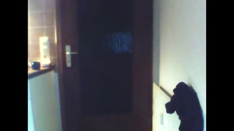 Snapshot of schnibschnab chatting on 02-27-26, 02:11 schnibschnab online show from 02-27-26, 02:11