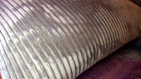 scotty2hotty46_ online show from 02-21-26, 05:41