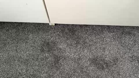 Snapshot of scottyc48 chatting on 11-13-25, 02:49 scottyc48 online show from 11-13-25, 02:49