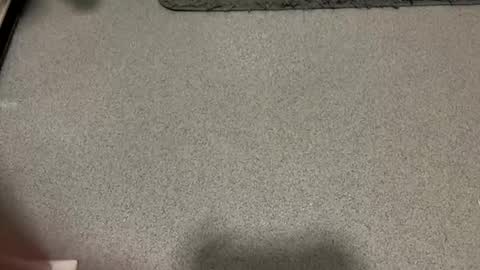 Snapshot of scottyc48 chatting on 12-01-25, 02:11 scottyc48 online show from 12-01-25, 02:11