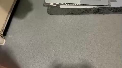 Snapshot of scottyc48 chatting on 12-19-25, 07:48 scottyc48 online show from 12-19-25, 07:48