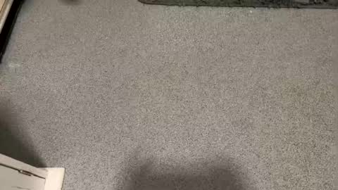 Snapshot of scottyc48 chatting on 01-12-26, 03:17 scottyc48 online show from 01-12-26, 03:17