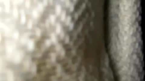 sdr_vk online show from 07-31-26, 11:53
