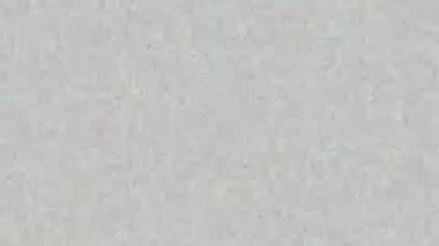 Seaman online show from 05-02-26, 07:08