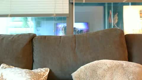 Sebastian Royce online show from 06-14-26, 12:41