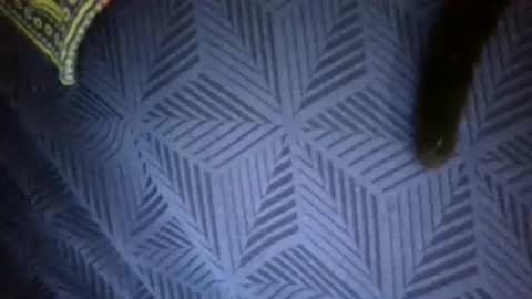 Sunny online show from 04-18-26, 07:58