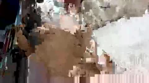 Snapshot of secreto_chat_ chatting on 10-03-25, 11:24 secreto_chat_ online show from 10-03-25, 11:24