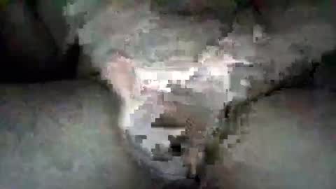 SotaSled online show from 02-20-26, 04:31