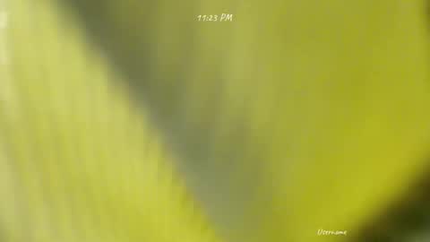 Snapshot of seduce_me_oldman chatting on 03-09-26, 03:16 seduce_me_oldman online show from 03-09-26, 03:16