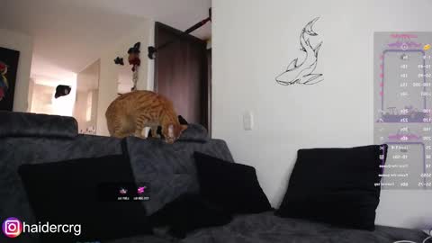 Snapshot of setth_69 chatting on 02-07-26, 06:00 setth online show from 02-07-26, 06:00