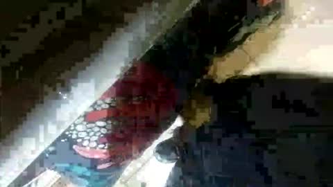 seus1149 online show from 07-23-26, 07:06