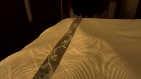 sevenorder online show from 01-24-25, 07:51