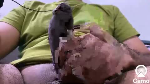 Snapshot of sexmachine4ubabes chatting on 12-09-24, 03:50 sexmachine4ubabes online show from 12-09-24, 03:50