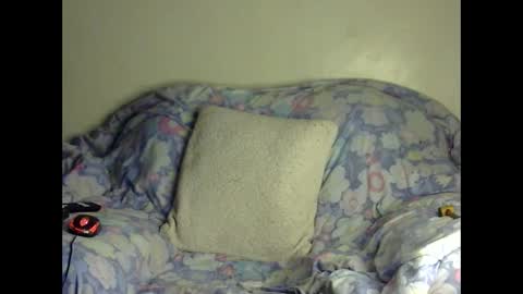 Natural boobs online show from 11-24-25, 08:36