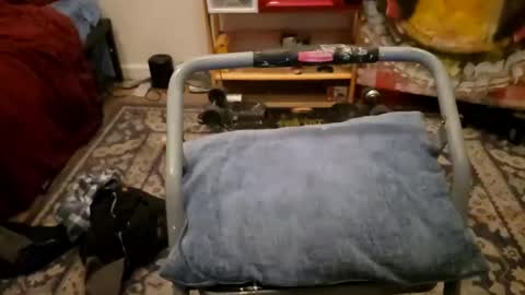 Snapshot of sexy_cayden chatting on 01-23-25, 11:58 Cayden online show from 01-23-25, 11:58