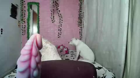 sexy lolas online show from 02-20-26, 02:19